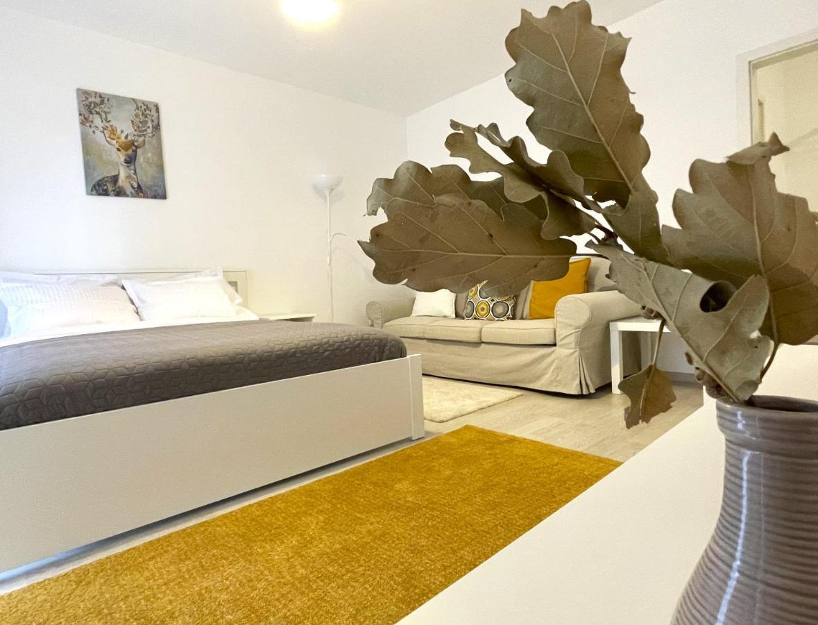 Bartolomeu Serenity Studio Брашов Экстерьер фото